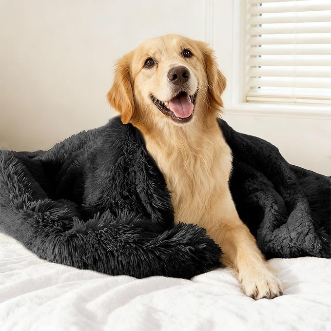 gogobunny Waterproof Dog Blanket for Large Dogs, Cats, Puppy, Reversible Faux Fur Pet Throw Blanket, Washable, Calming Furniture Protection for Sofa Bed (50x60 Inch (Pack of 1), Black)