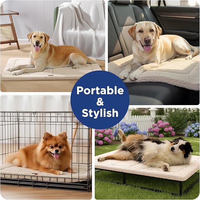MASSFU Low-Profile Dog Pad Mat for Medium Small Dogs, Washable Ultra Soft Dog Crate Mat, High Density Foam Pet Beds for Indoor & Outdoor Dogs, 35" x 23", Cream White