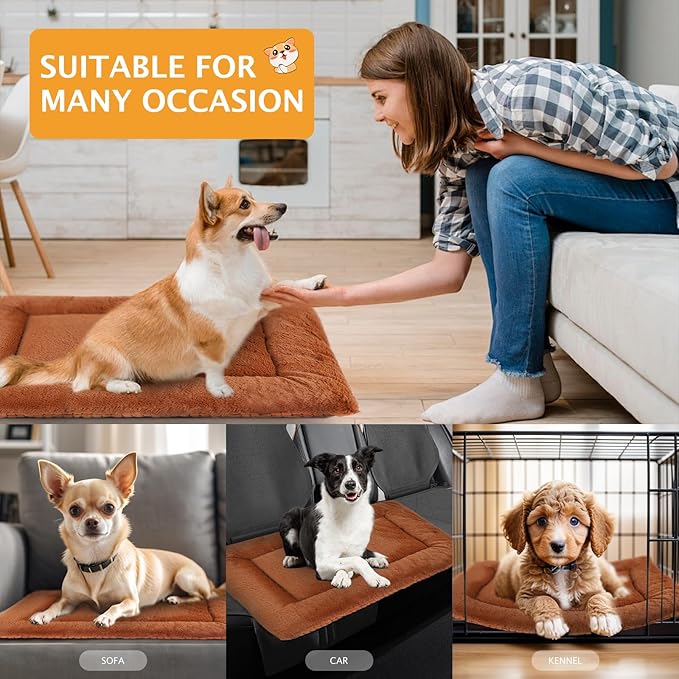 Vetasac Reversible Dog Bed Mat with Plush and Corn Velvet,Soft Warm Pet Cushion, Dual Purpose Washable Sleeping Mattress Bed for Small Medium Large Dog and Cat XB004 (24"x18", Orange)