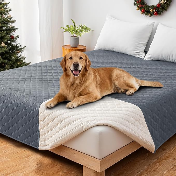 CYCMACO Waterproof Couch Covers for Pets, Waterproof Dog Bed Cover, Anti-Slip Soft Dog Blankets, Couch Cover for Dogs Washable, Pet Blanket for Puppy Large Dogs Cat (82x82 Inch, Dark Grey)