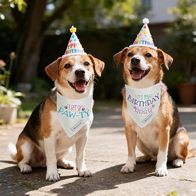 Realeaf Birthday Dog Bandanas 2 Pack (White, X-Large)
