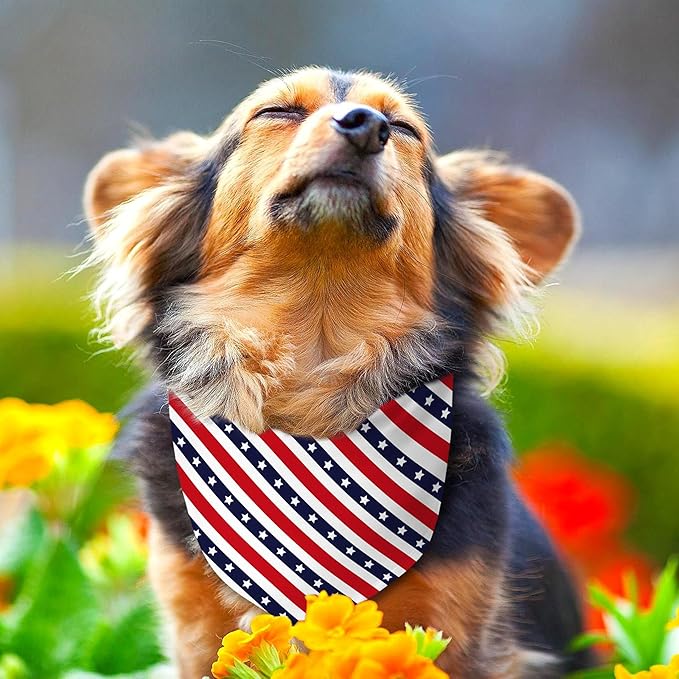 4th of July Dog Bandana Reversible 2 Pack Small, Red White and Blue Dog Paw Star Patriotic Dogs Bandanas Set Adjustable Triangle Holiday Scarves for Memorial Day Small Medium Boy Girl Dogs