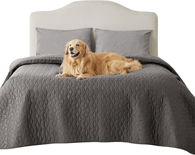 Bedsure 100% Waterproof Couch Cover for Dogs Washable - Non Slip Waterproof Dog Blanket for Bed, Lightweight Furniture Protector Durable for Pet Puppy with Non-Slip Bottom, Dark Grey, 82x120IN