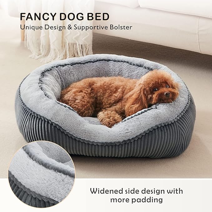 SIWA MARY Small Dog Beds for Small Dogs Cats, Washable Pet Bed, Cat Beds for Indoor Cats, Rectangle Soft Calming Sleeping Warming Puppy Bed with Anti-Slip Bottom(20"x19"x6")