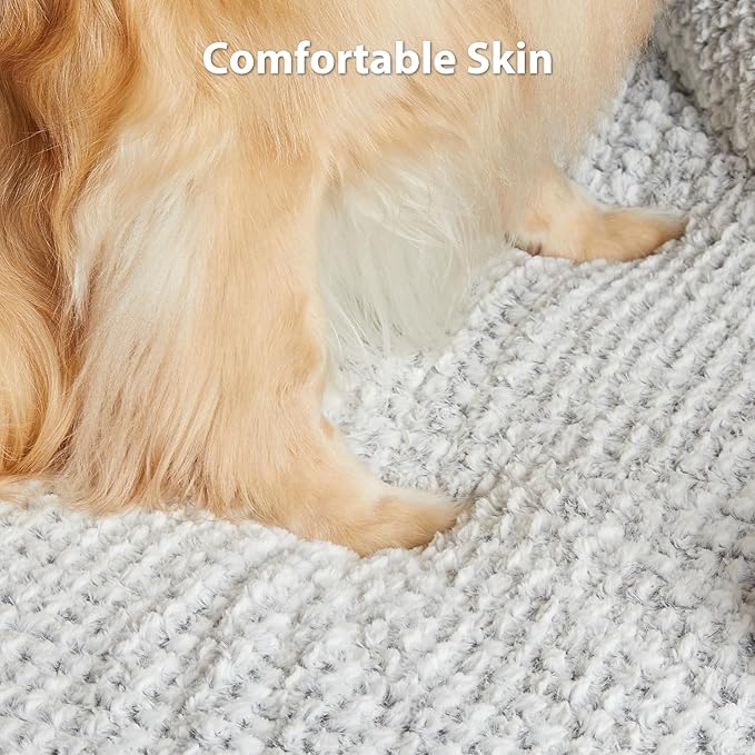 LEXTRO Orthopedic Dog Bed for Large Dogs, Egg Crate Foam Bed for Large Dogs, Equipped with Removable Waterproof Pillow Cover and Anti-Slip Bottom, Pet Bed