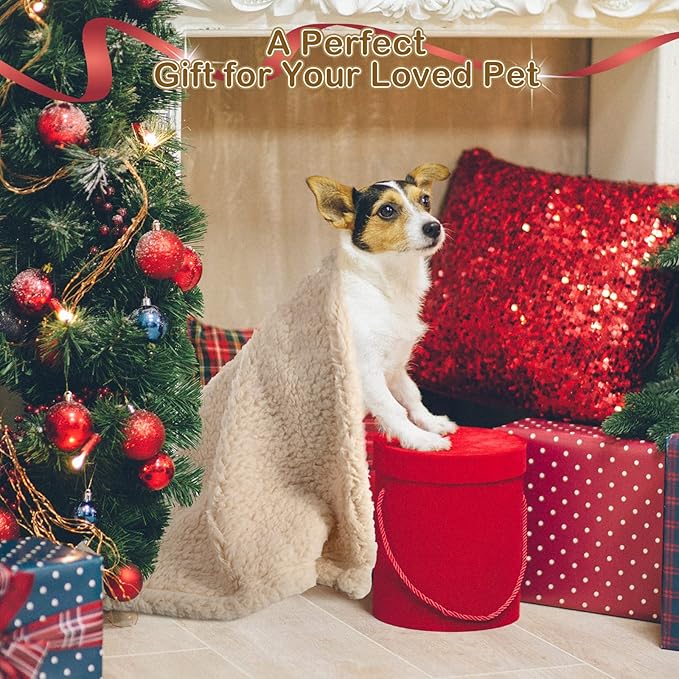 Newwiee 6 Pcs Blankets for Dogs Cats, Soft Warm Fluffy Fleece Pet Calming Blanket, Washable Flannel Throw for Small Medium Pet, Gray/Beige/Khaki(24 x 18 Inch)