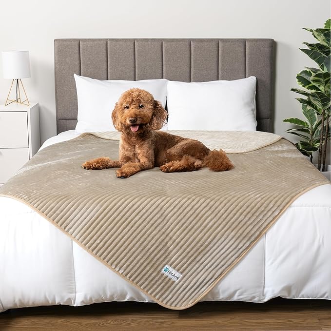 PetAmi Waterproof Dog Blanket, Leakproof Pet Blanket for Small Medium Large Dogs, Reversible Furniture Bed Sofa Couch Cover Protector, Plush Striped Pet Throw for Indoor Cat, 40x60 in, Taupe Beige