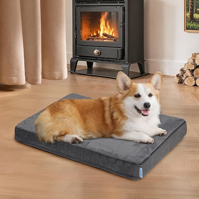 ZAKAPAWS Dog Bed for Medium Dog - Orthopedic Pet Beds with Memory Foam, Waterproof Removable Washable Cover with Non-Slip Bottom, Grey, 30" L x 20" W x 3" H