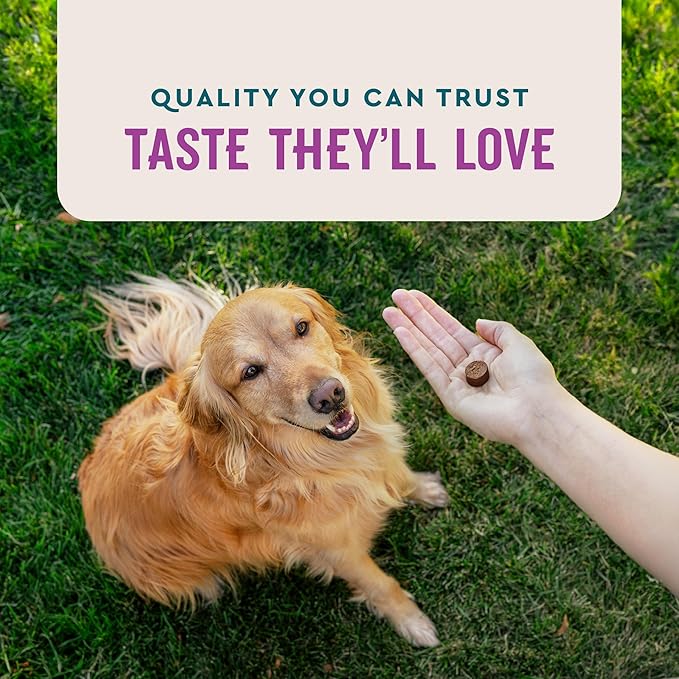 VetIQ Calming Support Supplement, Calming Chews for Dogs Help Manage Stress and Promote Relaxation, Anxiety Relief for Dogs, Made in The USA, 120 Count