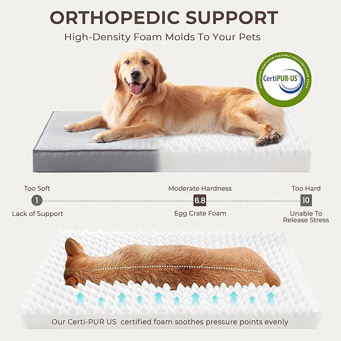 Warmrest 2-Pack XL Waterproof Dog Bed Large Size Dogs, Plush Cushion & Orthopedic Egg-Crate Foam Mattress for Senior Dogs, Washable Dog Crate Bed with Removable Cover, Light Grey