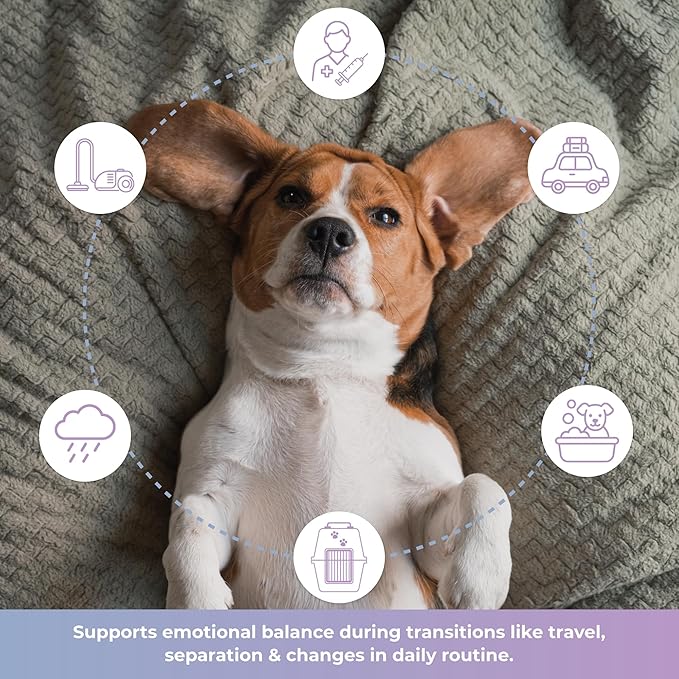 Veterinarian Recommended Solutions Tranquillium Canine Calming Chews from