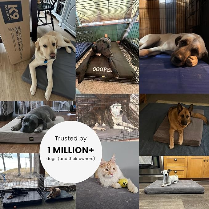 K9 Ballistics Tough Ripstop Orthopedic Crate Bed - Durable Kennel Pad with Washable Cover for Puppies and Medium Dogs, 35 x 22 fits 36” Wire Crate, Sage Green