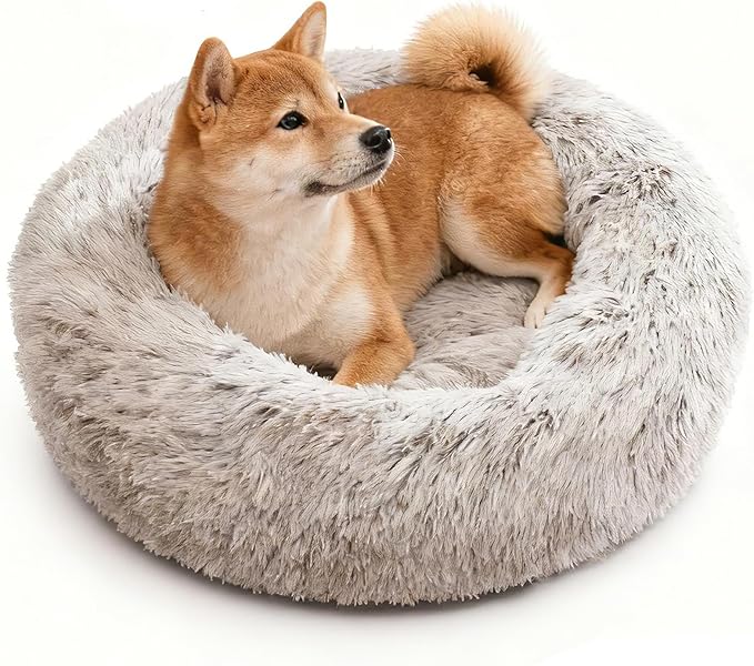 Aofast Calming Dog & Cat Bed for Extra Large Small Medium Sized Pet, Donut Washable Comfort Fluffy Warm Round Mat for Puppy Kitten, 8 Size Essentials Furniture Supplies Indoor