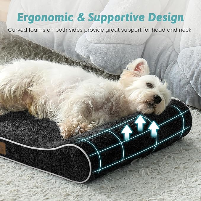 COZY KISS Orthopedic Dog Bed for Small Dogs up to 35 lbs - Removable Washable Cover with Waterproof Lining & Non-Skid Bottom, Cotton-Polyester Blend Boat-Shaped Lounger Mattress, S(30x20x5in), Black