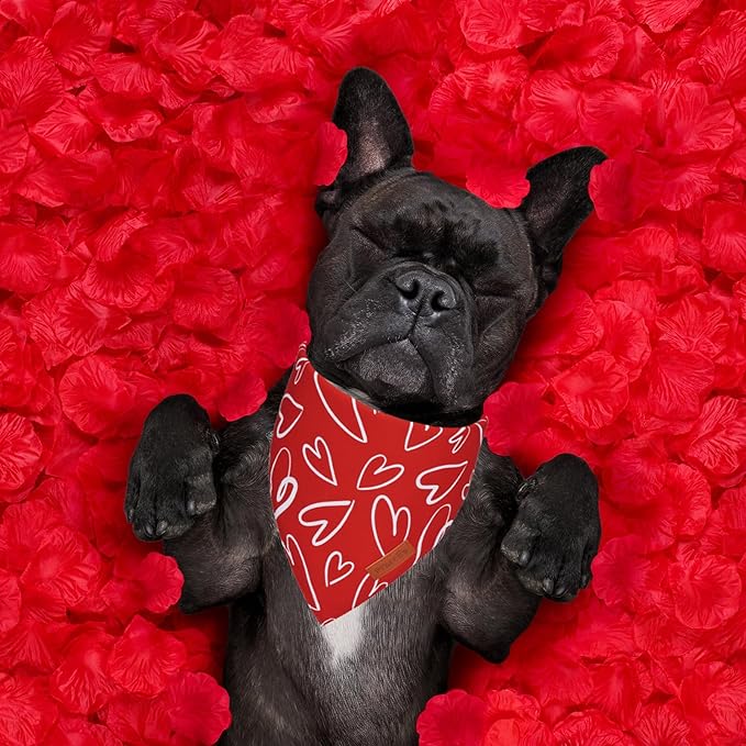 PTDECOR Valentine Dog Bandana, Reversible Holiday Dog Scarf, Multi Size, Heart Valentine Bandanas for Small Dogs Pets (Small)