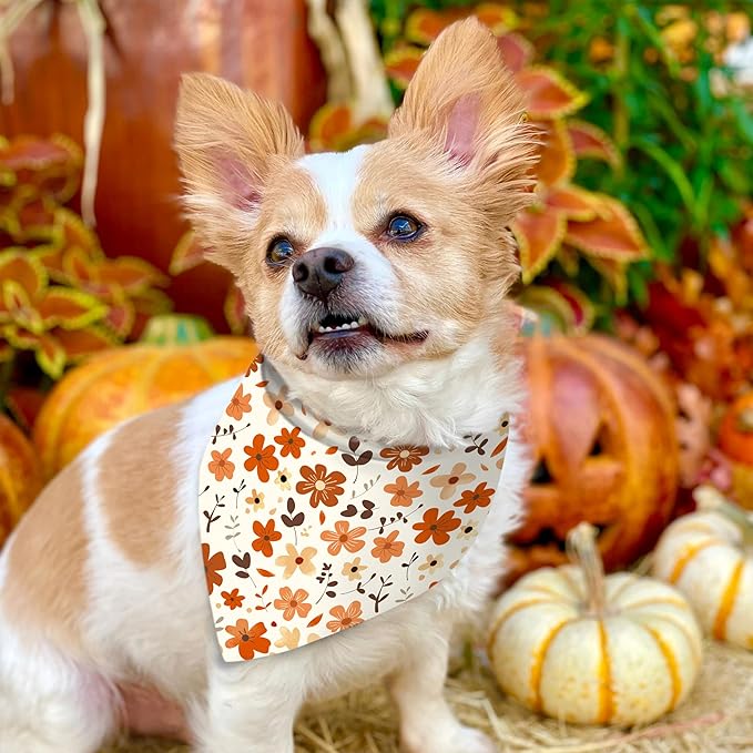 Fall Dog Bandana Reversible 2 Pack Small, Cute Autumn Pumpkin Floral Hedgehog Fall Pet Bandanas Set Adjustable Triangle Holiday Scarves for Small Medium Boy Girl Dogs