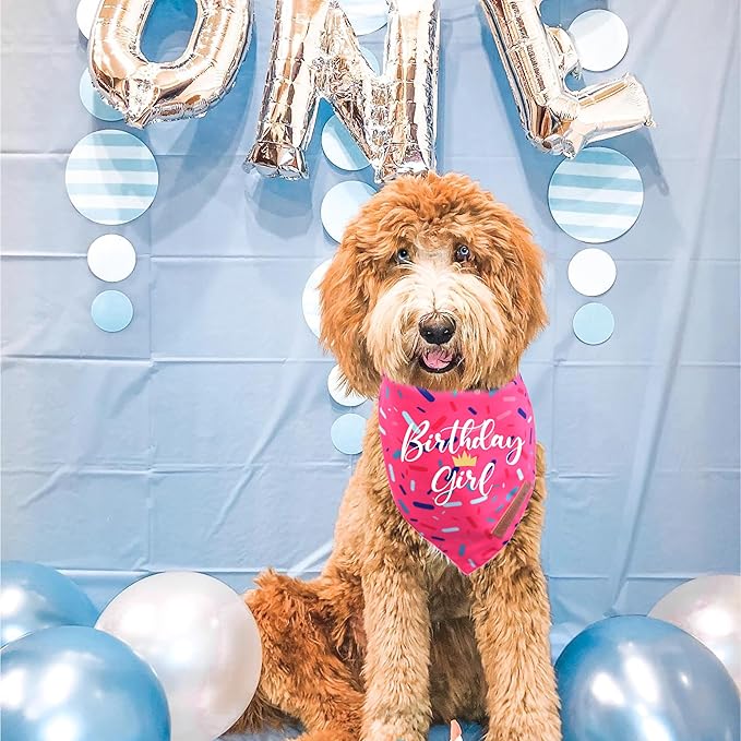 Realeaf Birthday Girl Dog Bandana, Dog Birthday Party Supplies,Premium Durable Fabric, Bandana for Small and Medium Dogs Pets (Pink, Small)