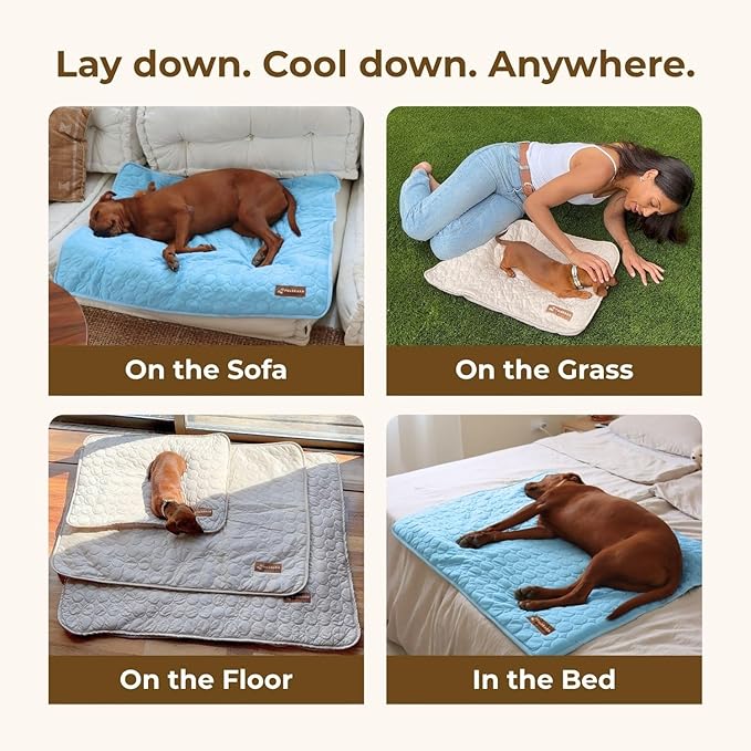 Pelsbarn Dog Cooling Mat- Ice Silk Summer Comfort, Self Cooling, Non-Slip Dog Pad, Durable & Washable, Mat for Extra Large Dogs 33"" x 45"", Support Shelter Dogs with Every Purchase (Blue)