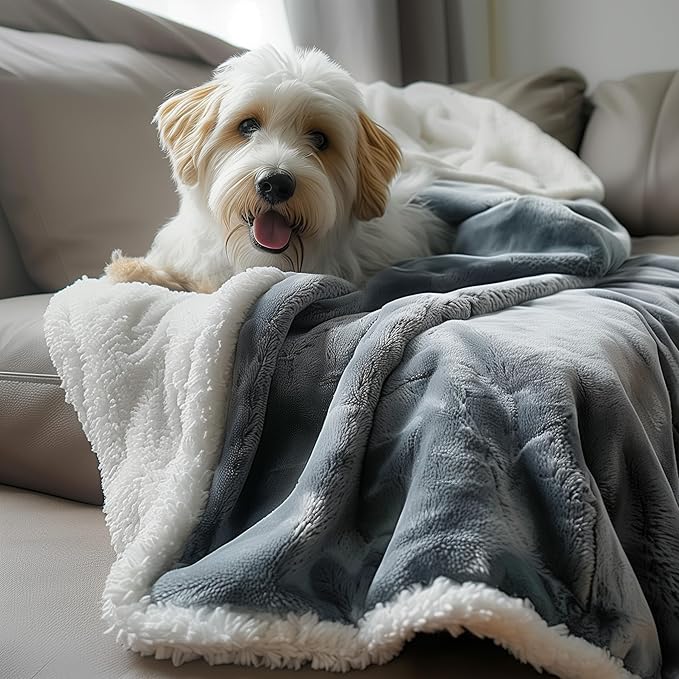 Bedding Aid Waterproof Queen Size Blanket - Sherpa Fleece Reversible Throw, Soft Warm Leak-Proof Bed & Couch Protector for Kids, Pets & Everyday Spills (Velvet Gray/Cloud White, Queen 90x90)