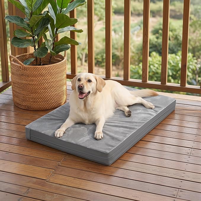 Waterproof Dog Beds Large Sized Dogs, Washable Orthopedic Pet Bed with Removable Cover Reversible, Foam Pets Bed Durable Anti-Slip Bottom, 36"x27", Gray