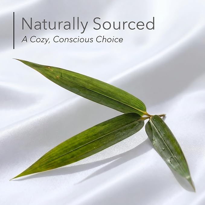 DECOLURE 100% Viscose Derived from Bamboo Sheets Twin Size - Luxury 4 Pc Naturally Cooling Sheets, Ultra Soft Bed Set - Deep 17" Pockets, Durable Double Stitching, Oeko Tex Standard (White)