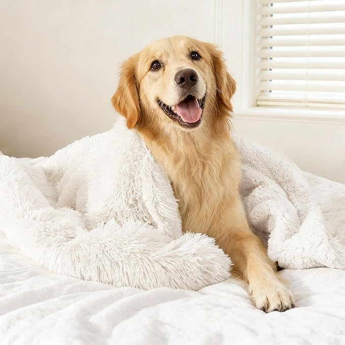gogobunny Waterproof Dog Blanket for Large Dogs, Cats, Puppy, Reversible Faux Fur Pet Throw Blanket, Washable, Calming Furniture Protection for Sofa Bed (50x60 Inch (Pack of 1), Cream)