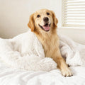 gogobunny Waterproof Dog Blanket for Large Dogs, Cats, Puppy, Reversible Faux Fur Pet Throw Blanket, Washable, Calming Furniture Protection for Sofa Bed (50x60 Inch (Pack of 1), Cream)