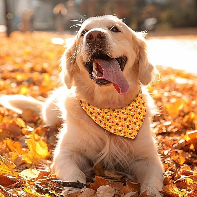 Fall Thanksgiving Dog Bandana Reversible 2 Pack Small, Pumpkin Turkey Leaves Fox Cute Thanksgiving Pet Bandanas for Dogs Adjustable Triangle Holiday Scarves for Small Medium Boy Girl Dogs