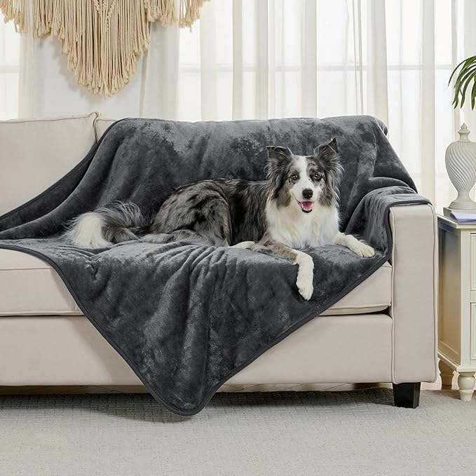 Yaning Waterproof Blanket for Bed Couch Sofa, Soft Liquid Pee Proof Pet Blanket for Dog Puppy Cat, Reversible Sherpa Fleece Furniture Protector (Dark Grey, 50x60 inches)