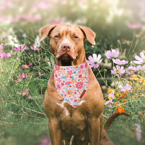 ADOGGYGO Floral Dog Bandana 2 Pack, Reversible Pink Daisy Pet Scarf Bib, Adjustable Fit Cute Flower Bandanas for Medium Large Dogs Pets (Large)