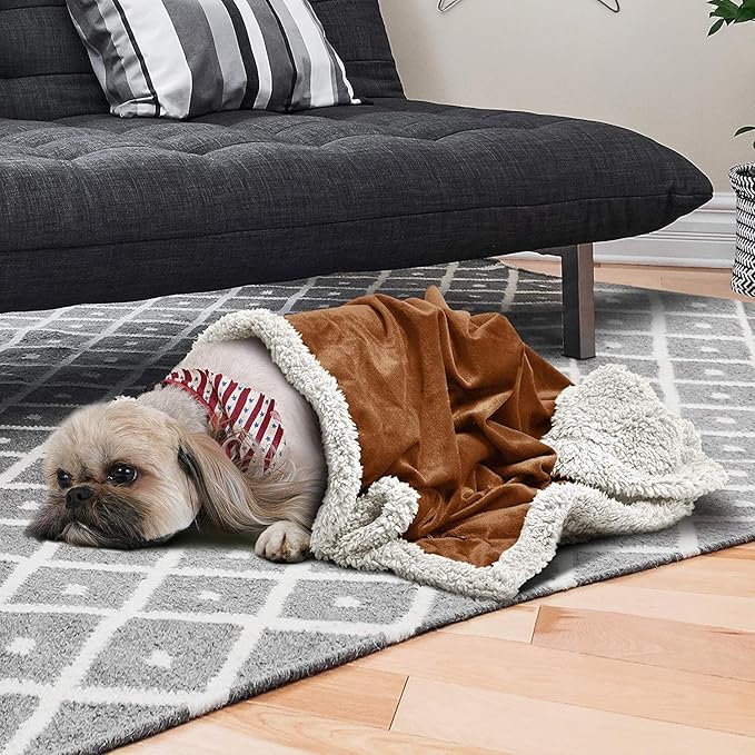 Kritter Planet Dog Blankets for Small Dogs, Soft Puppy Blanket, Pet Blankets for Cats, Lightweight & Washable, Perfect for Dog Beds, Car Seats, Creat, 30x40 inches