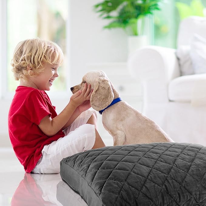 Washable Orthopedic Dog Bed - Soft Quilted Pet Bed with Removable Velvet Cover, Comfortable Dog Beds for XLarge Sized Dogs (48x40x4 Inch, Dark Gray)
