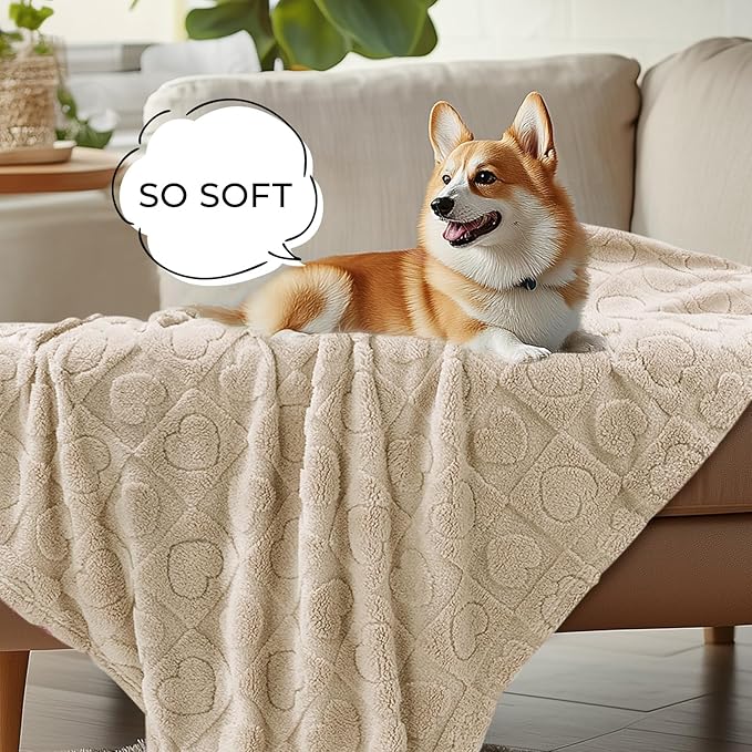 Luciphia 1 Pack 2 Small Dog Blanket Washable Pet Bed Cover Soft Fluffy Puppy Blanket with Premium Fleece 300GSM Cozy Calming Cat Blankets for Indoor Cats Beige 57x40 inch