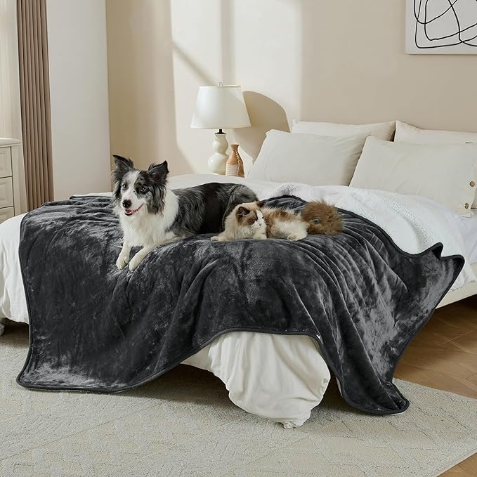 Yaning Waterproof Blanket for Bed Couch Sofa, Soft Liquid Pee Proof Pet Blanket for Dog Puppy Cat, Reversible Sherpa Fleece Furniture Protector (Dark Grey, 50x60 inches)