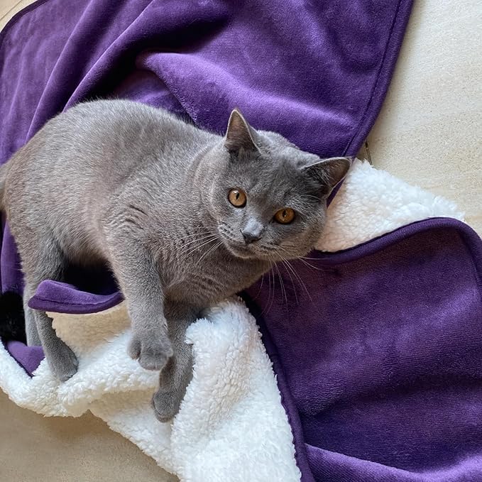 Yaning Waterproof Blanket for Bed Couch Sofa, Soft Liquid Pee Proof Pet Blanket for Dog Puppy Cat, Reversible Sherpa Fleece Furniture Protector (Dark Purple, 30x40 inches)