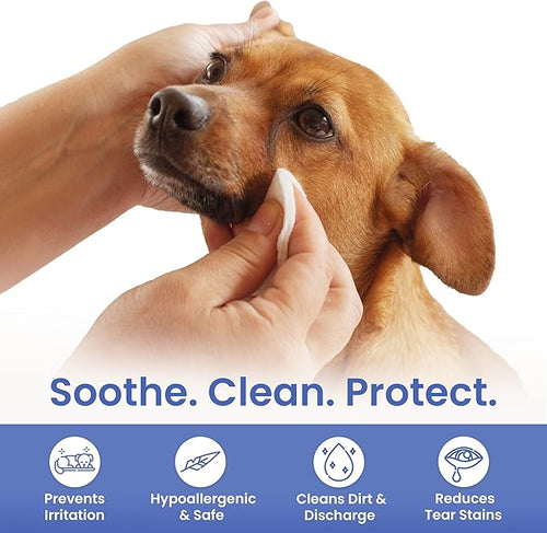 American Kennel Club Pet Eye Wipes for Dogs & Cats – Tear Stain Remover & Eye Discharge Cleaner – Hypoallergenic Grooming Wipes, 100 Count (Lavender Scent)