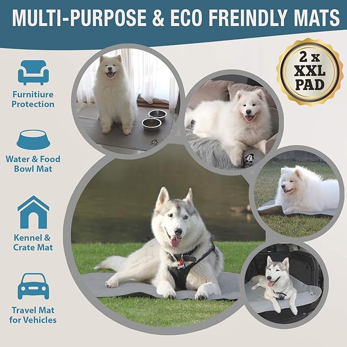 Washable Pee Pads for Dogs XXL (2 Pack), Reusable Puppy Training Pads, Ultra Absorbent & Waterproof Pet Mat for Senior Dogs, Non-Slip, Floor & Furniture Protector (36"x48") by Trendy Den Creations