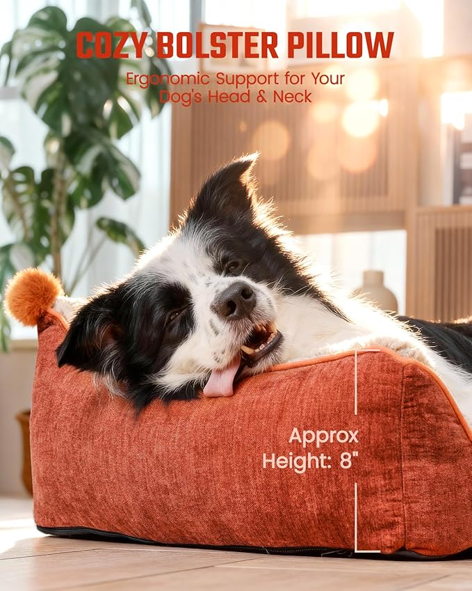 Pawccoli Orthopedic Dog Bed for Extra Large Dogs,Waterproof Supportive Egg Crate Foam Medium Dog Couch, Pet Bed with with Removable Bolsters, Washable Cover Non-Slip Bottom, (43''×32''×8'')