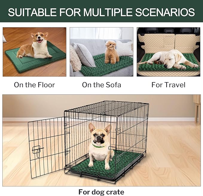 WITTOP Washable Dog Bed Plush Orthopedic Outdoor Crate Mat with Non-Slip Bottom,Luxe Soft Kennel Pad for Pets,Cozy Cage Cushion & Pet Sleeping Mattress Large Sized,Medium,Small Dogs,36 x 24 inch,Green