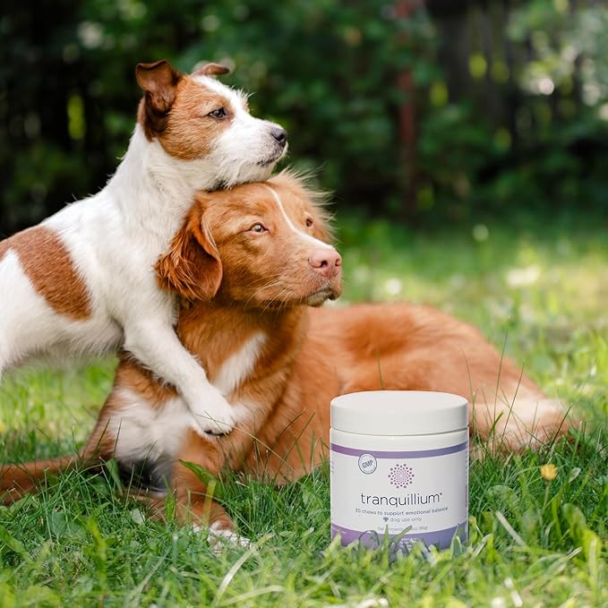 Veterinarian Recommended Solutions Tranquillium Canine Calming Chews from
