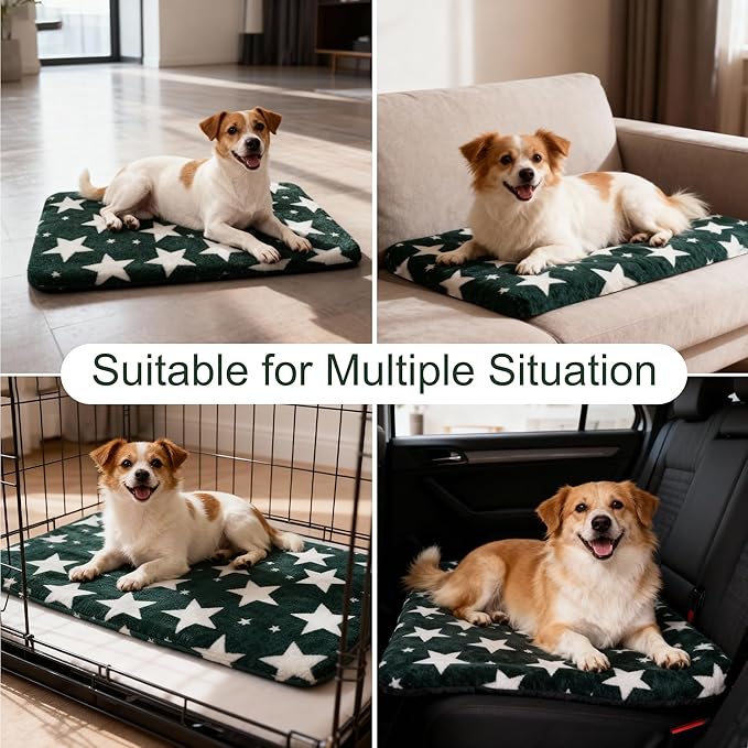 Wittop Washable Dog Bed Plush Orthopedic Outdoor Crate Mat with Non-Slip Bottom,Luxe Soft Kennel Pad for Pets, Cozy Cage Cushion & Pet Sleeping Mattress Large Sized,Medium,Small Dogs,30x20 inch,Green