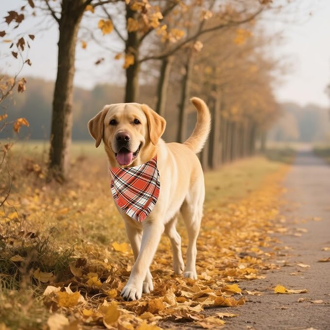 ADOGGYGO Fall Dog Bandana with Tassels Edges, Stylish Orange Plaid Pet Scarf, Multiple Size, Thanksgiving Halloween Fall Bandanas for Extra Large Dogs (X-Large)
