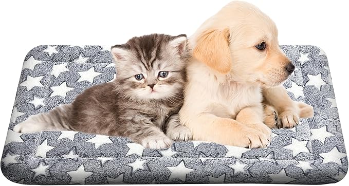 WITTOP Washable Dog Bed Plush Orthopedic Outdoor Crate Mat with Non-Slip Bottom,Luxe Soft Kennel Pad for Pets, Cozy Cage Cushion & Pet Sleeping Mattress Large Sized,Medium,Small Dogs,24 x 18 inch,Gray