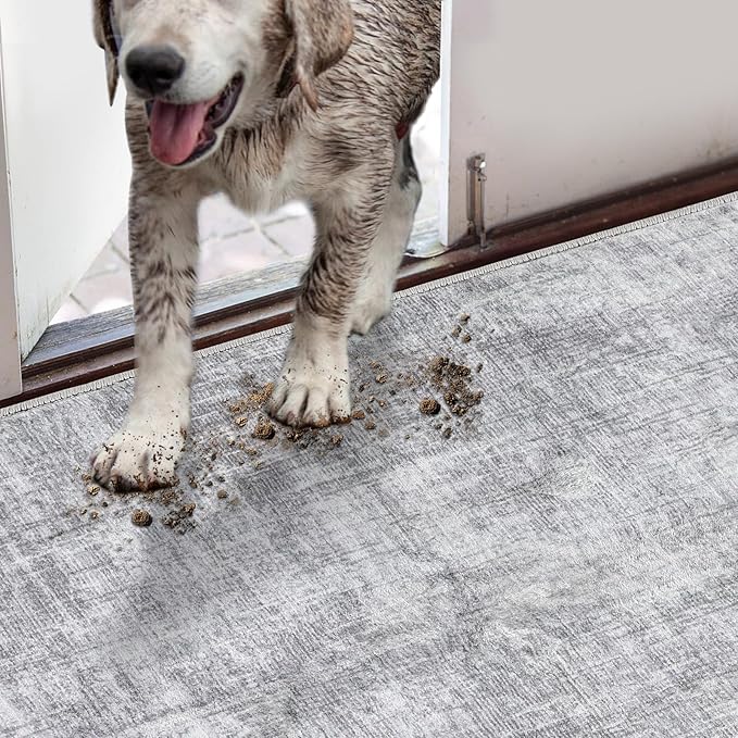 COMSLE Door Mat, Front Door Mat Indoor for Entrance Faux Wool Absorbent Non Slip Modern Throw Rug for Entryway Hallway Muddy Paws - Pet Friendly, 24x48 Inches, Machine Washable
