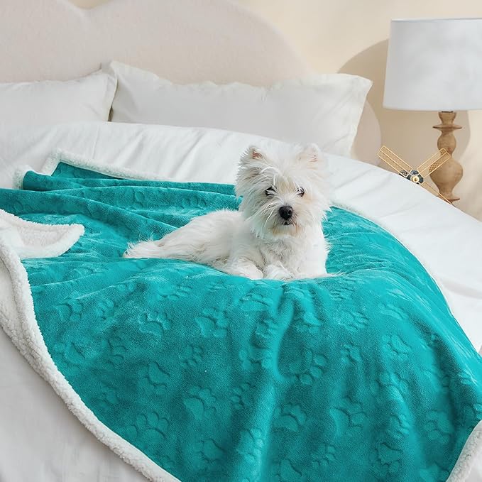 Qeils Pet Blankets for Cats - Waterproof Cat Blanket Washable - Sherpa Fleece Puppy Blanket, Soft Plush Reversible Throw Protector for Bed Couch Car Sofa, 50"X60", Teal