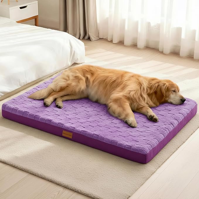 Patas Lague Orthopedic Dog Bed Large Sized Dog 36''X24'', Waterproof Soft Comfortable Egg Crate Foam Large Pet Beds Crate Mat with Removable Washable Cover and Nonskid Bottom, Pueple
