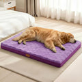 Patas Lague Orthopedic XL Dog Bed Large Sized Dog 42''X28'', Waterproof Soft Comfortable Egg Crate Foam Large Pet Beds Crate Mat with Removable Washable Cover and Nonskid Bottom, Pueple