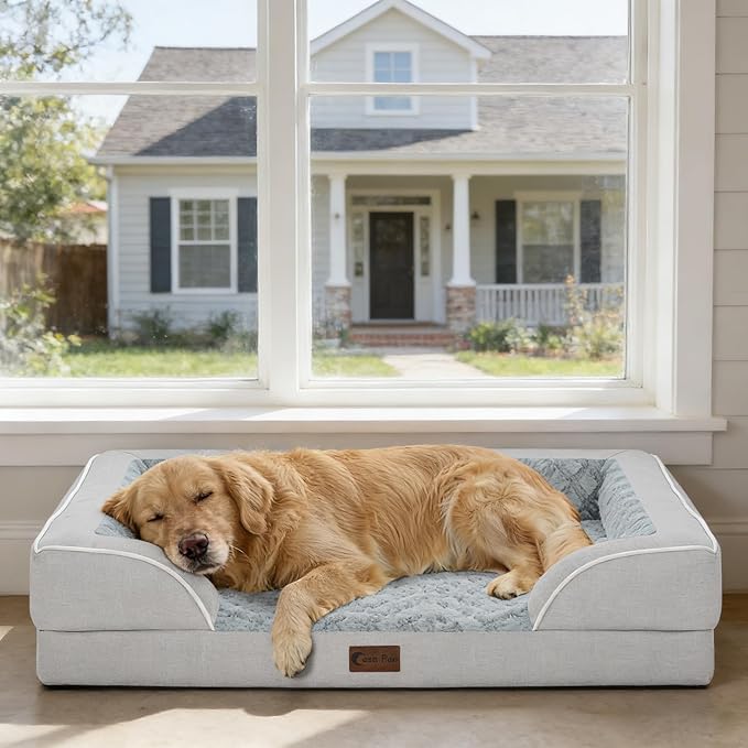 Casa Paw Orthopedic Dog Beds for Large Sized Dogs, Waterproof Memory Foam Large Pet Bed with Sides 36x27Inch, Non-Slip and Egg-Crate Foam Big Dog Couch Bed with Removable Washable Cover, Light Grey