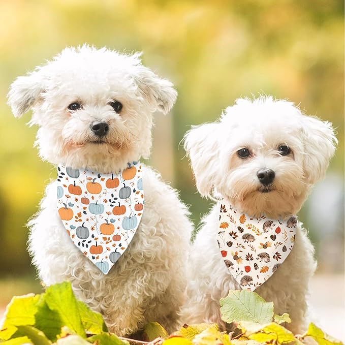 Fall Dog Bandana Reversible 2 Pack Small, Cute Autumn Pumpkin Floral Hedgehog Fall Pet Bandanas Set Adjustable Triangle Holiday Scarves for Small Medium Boy Girl Dogs