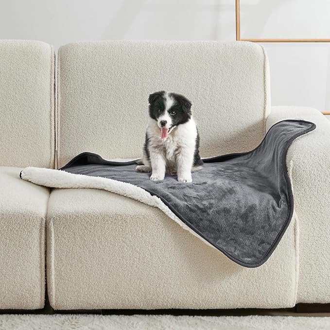 Yaning Waterproof Blanket for Bed Couch Sofa, Soft Liquid Pee Proof Pet Blanket for Dog Puppy Cat, Reversible Sherpa Fleece Furniture Protector (Dark Grey, 30x40 inches)